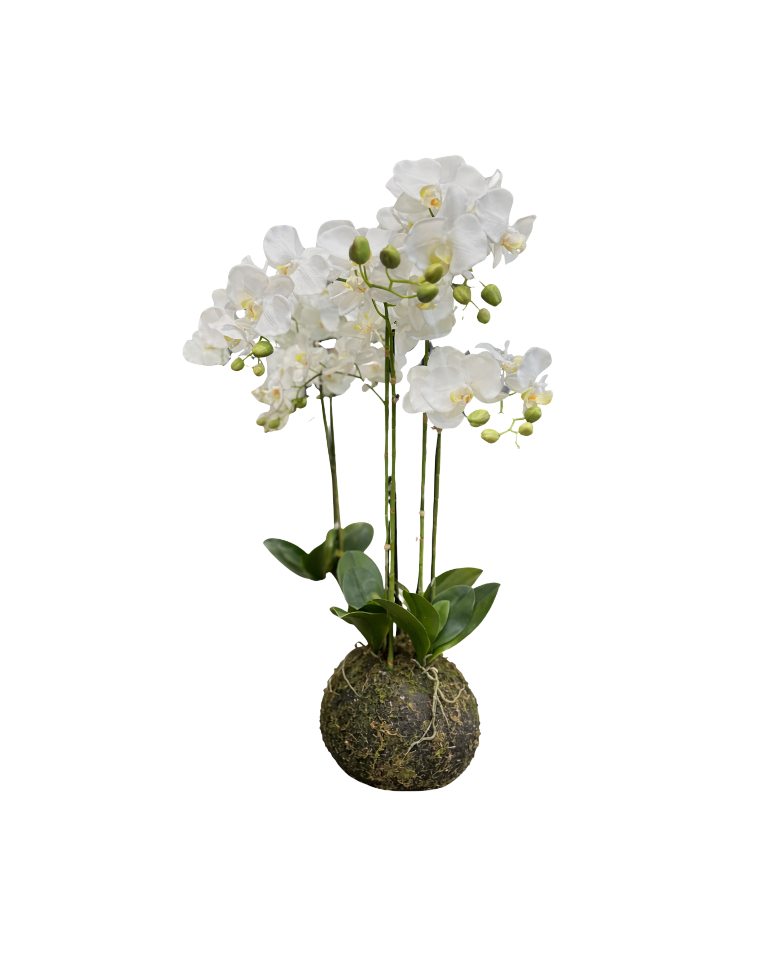 Imperial White  Faux Orchid | Medium