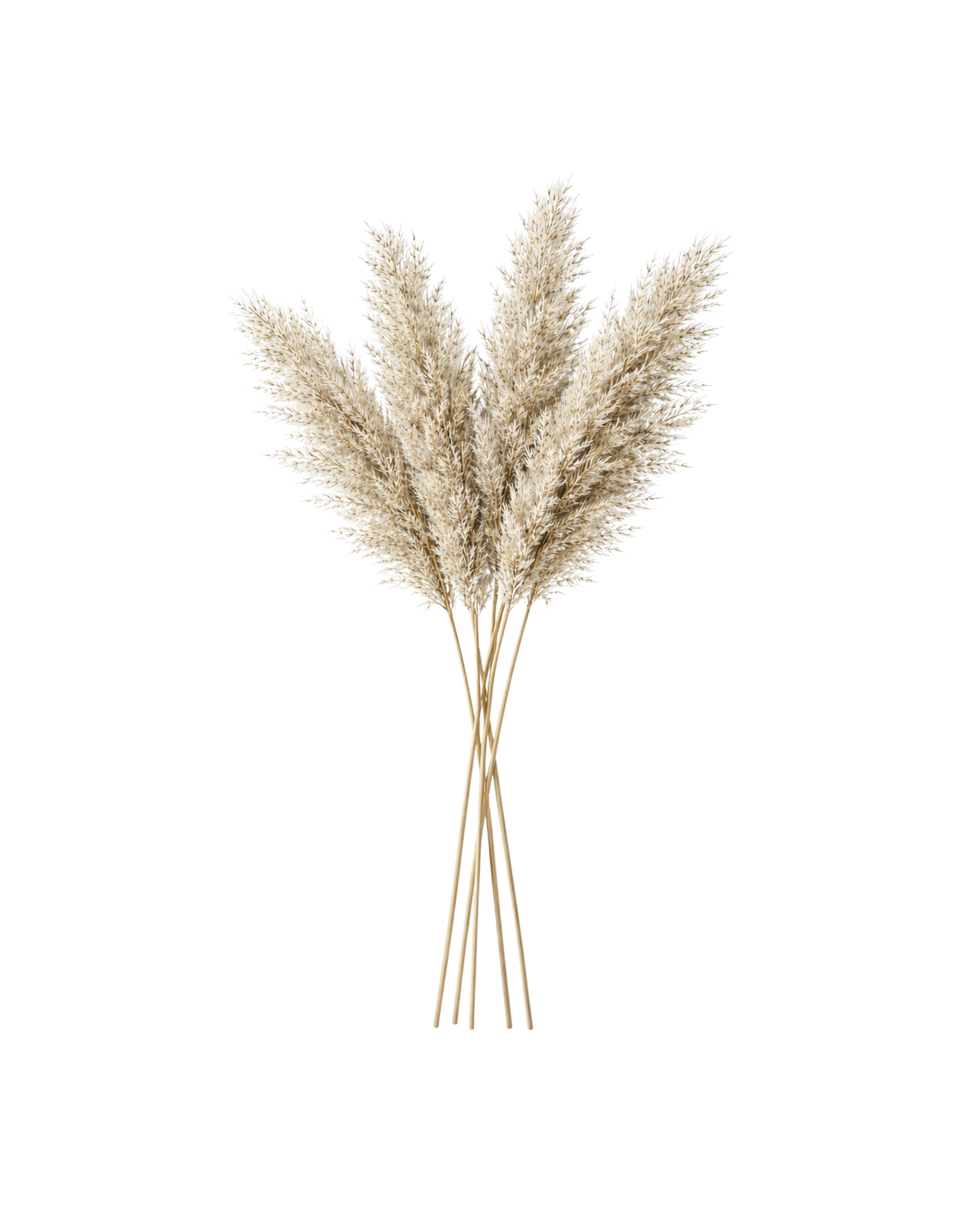 Tan Faux Pampas Grass | Short Firm Stem