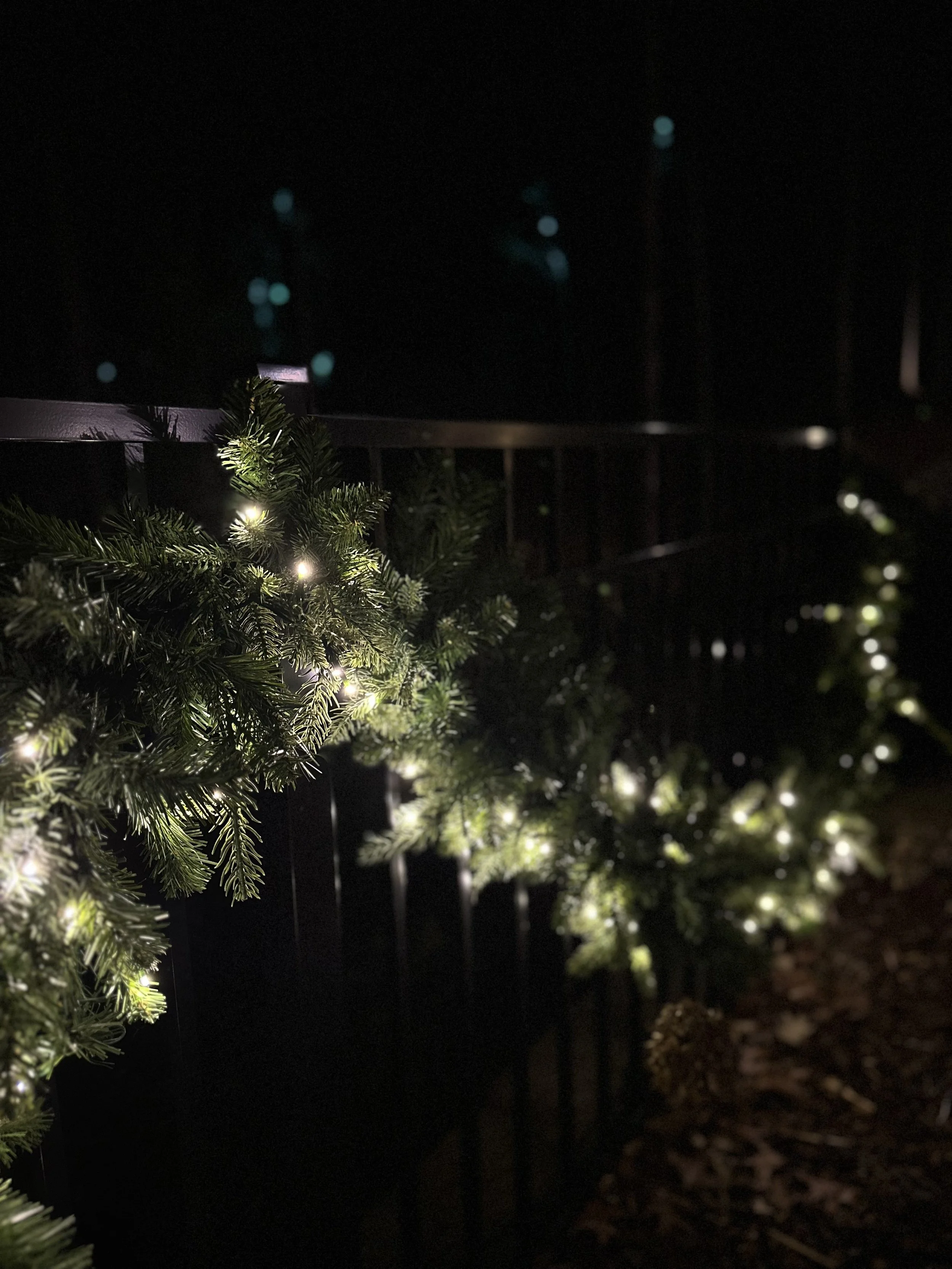 Photo Dec 01 2025, 7 17 20 PM.jpg