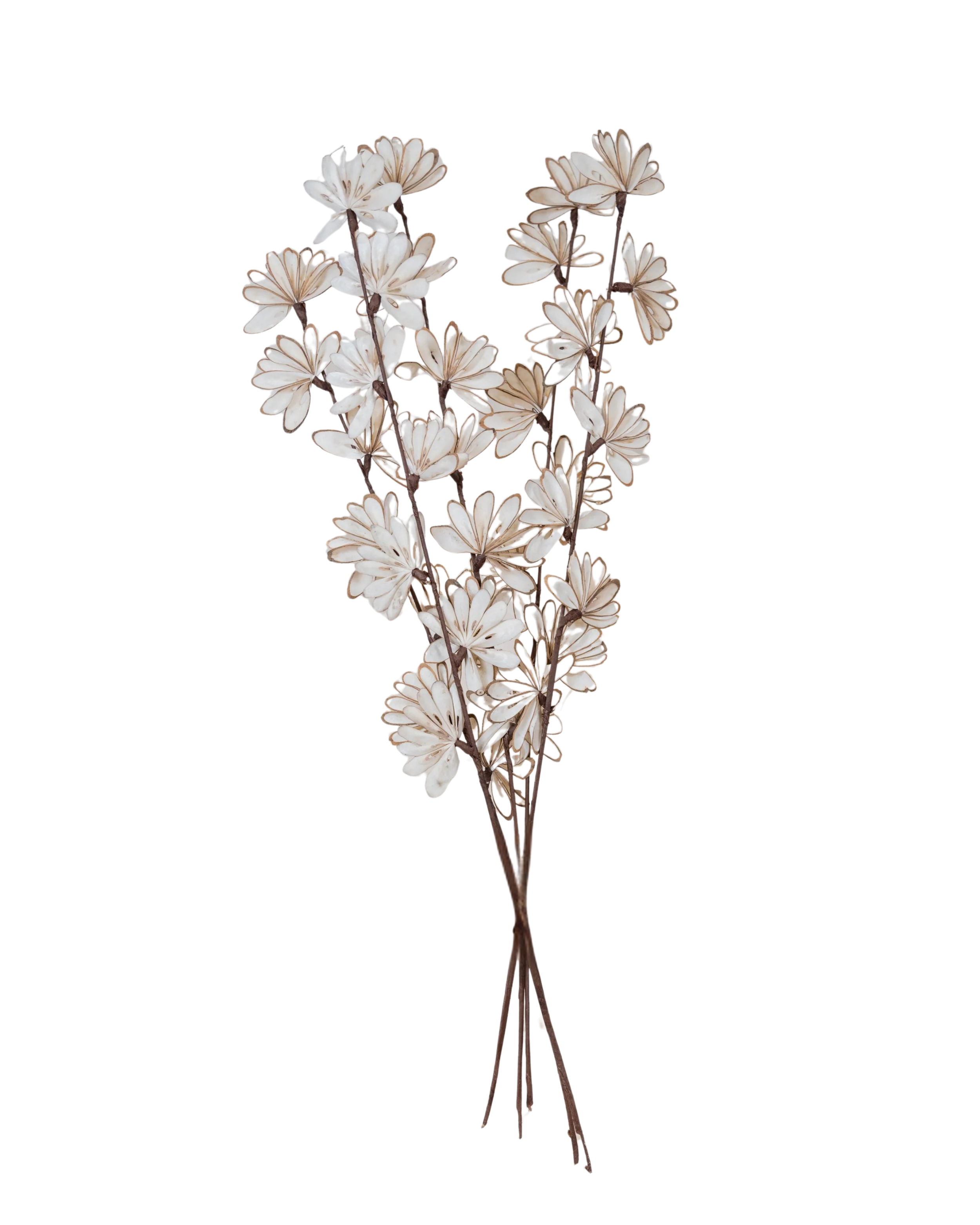 Sola Wood Floral Stems.png