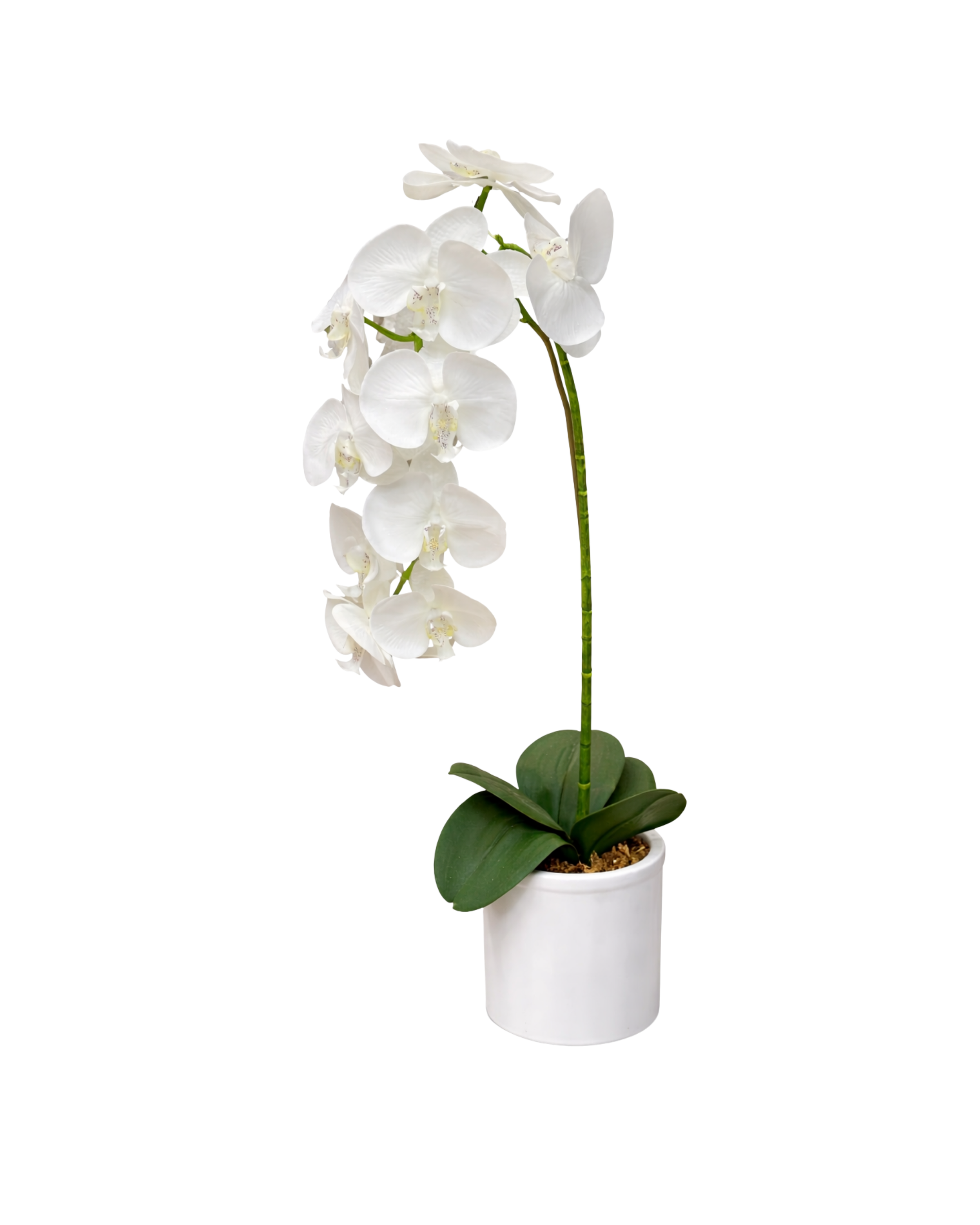 White Potted Faux Orchid | Small