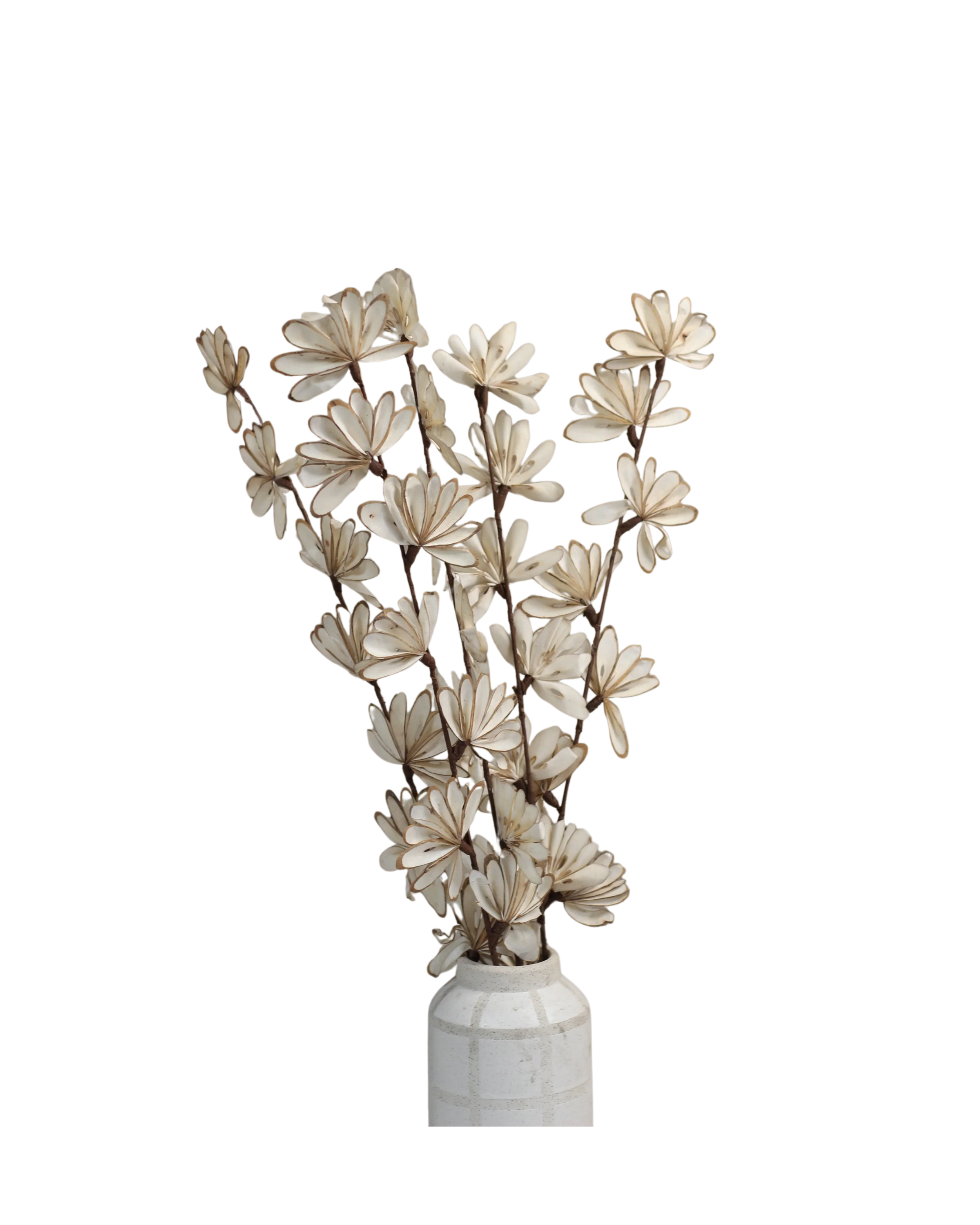 Sola Wood Floral Stems (2).png