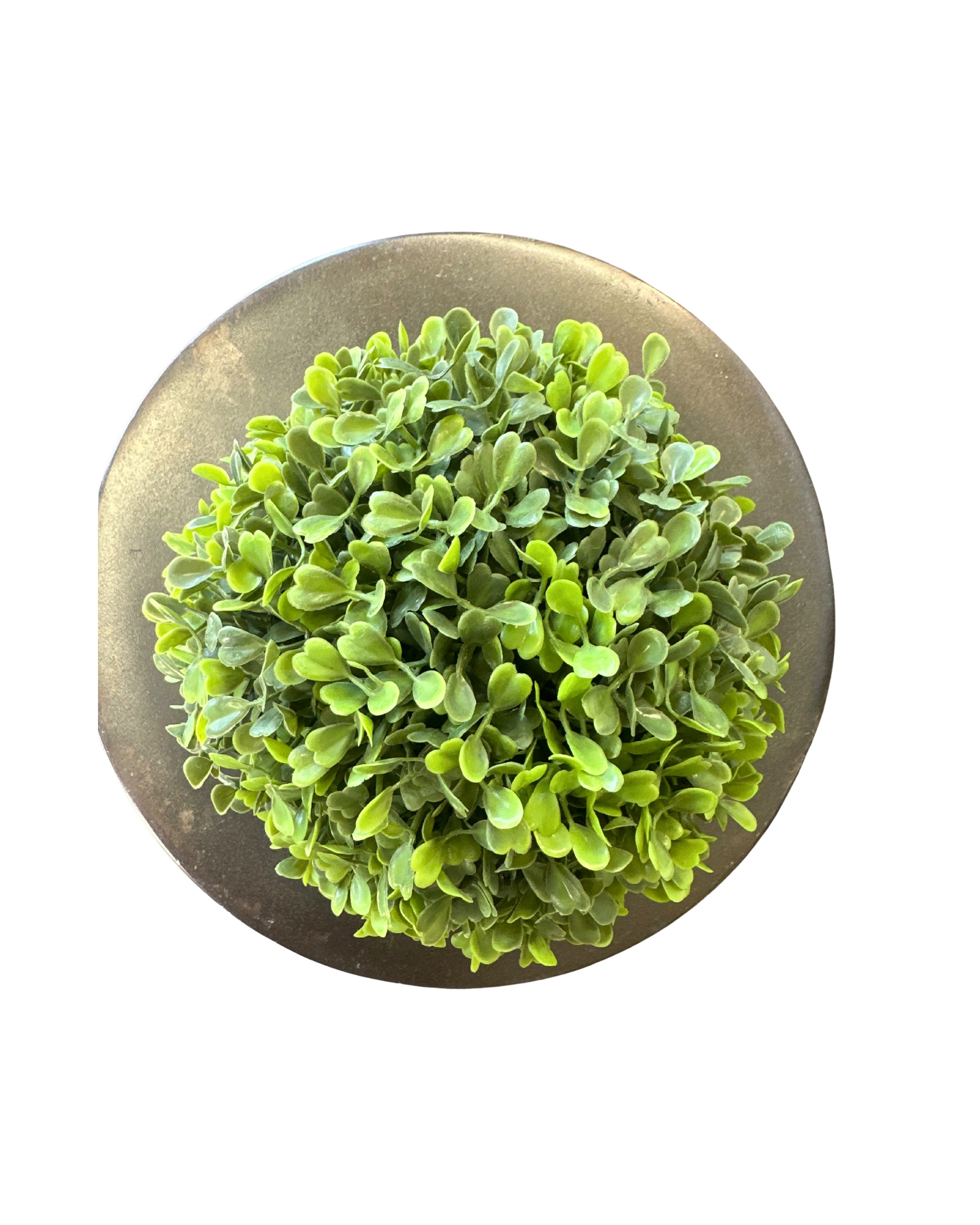 6_ Green Round Faux Boxwood - Small (2).png