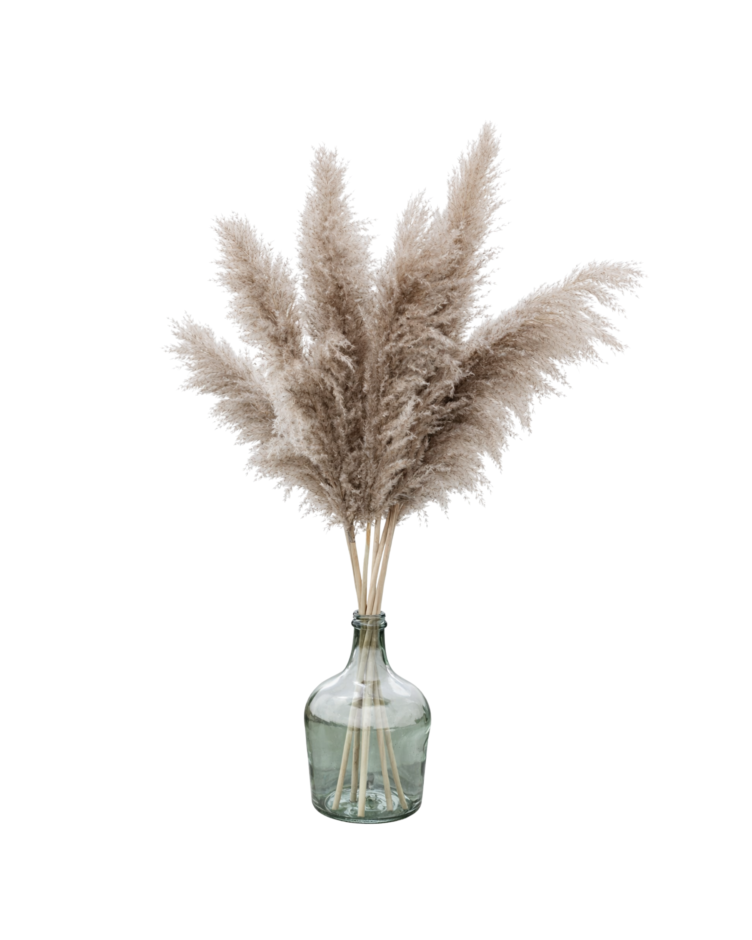 Tan Faux Pampas Grass – Short Firm Stem (5).png