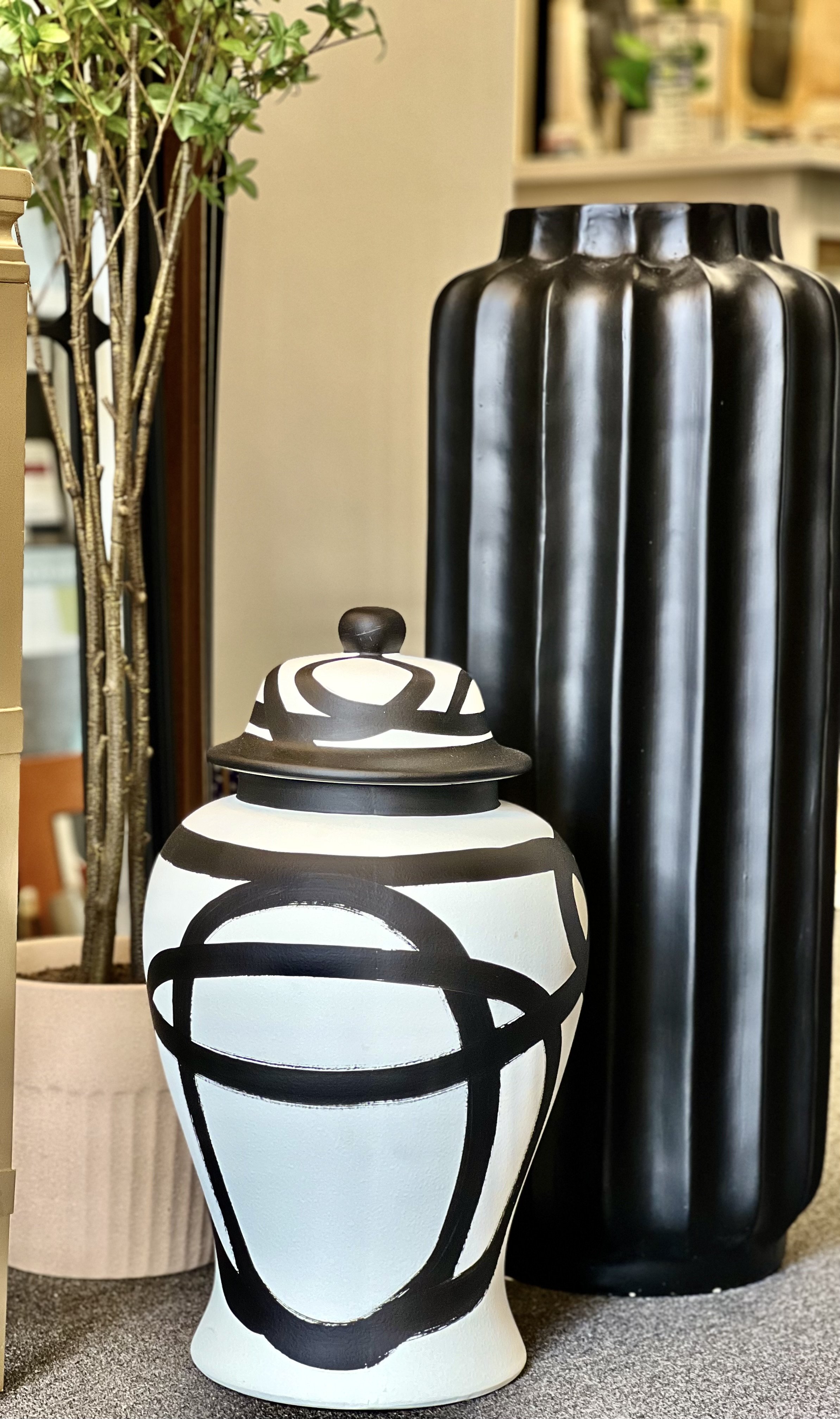 Photo Mar 16 2023, 10 17 00 AM.jpg