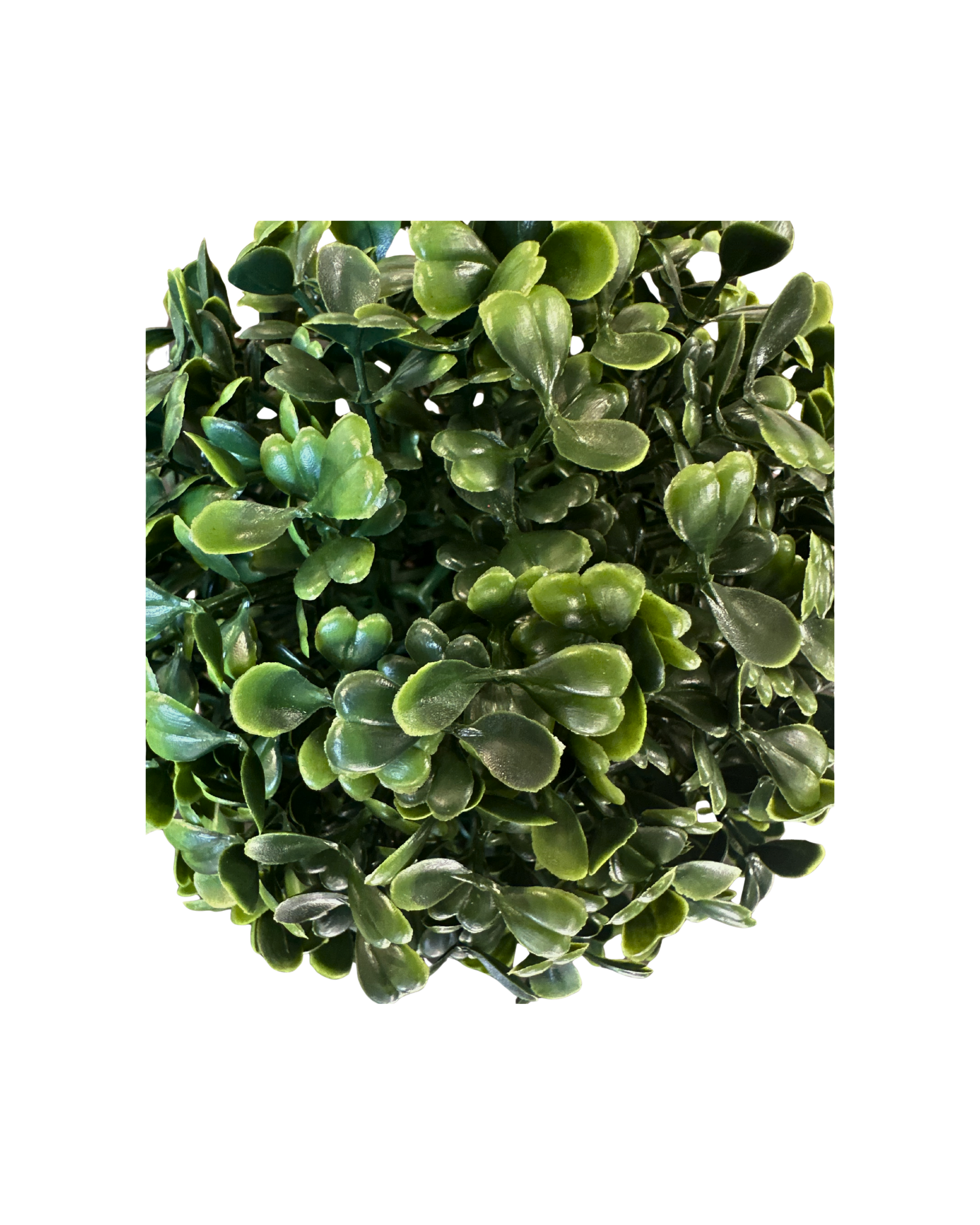 6_ Dark Green Round Faux Boxwood - Small (2).png