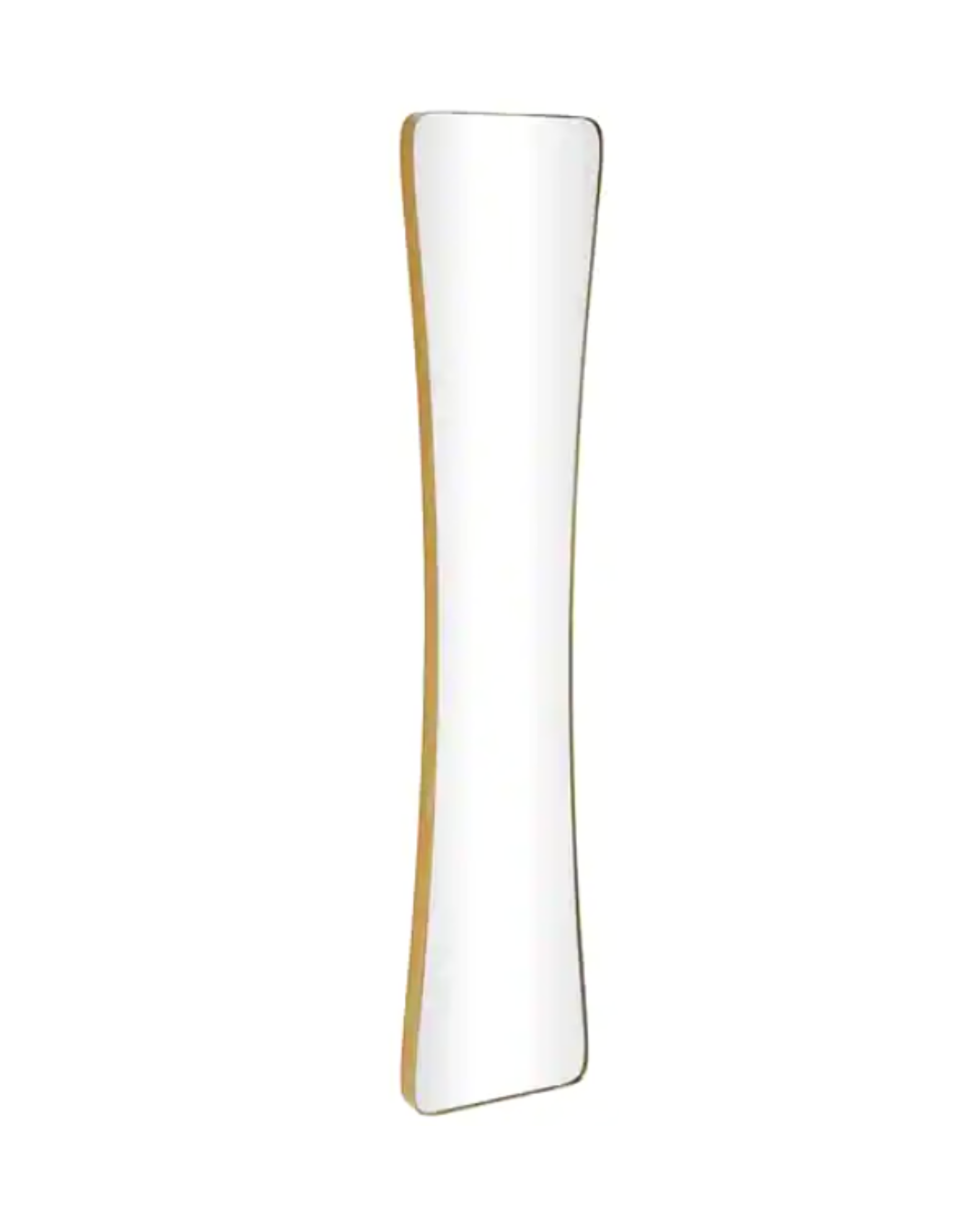 20x72_ Gold Mirror With Iron Frame (2).png