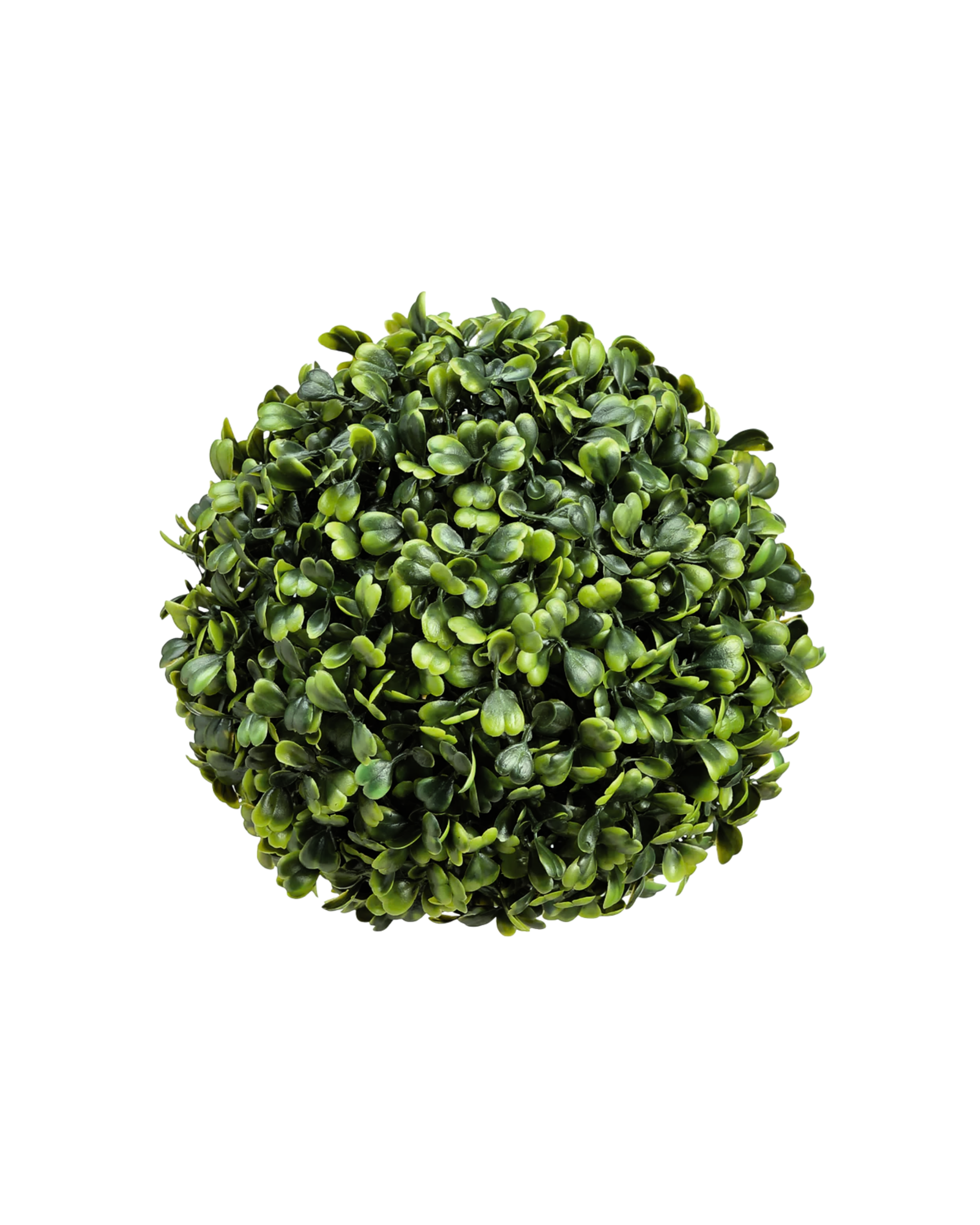 6_ Dark Green Round Faux Boxwood - Small.png