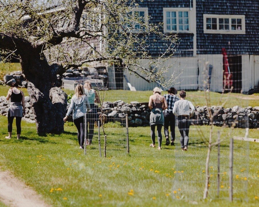 Maine. Life. Simplified. Not only is it our mission, but the theme for our upcoming Petite Pause. Led by our very own Sarah Pike, we will be enjoying a few days on the farm together, gardening, meditating, hiking, napping &amp; of course enjoying the