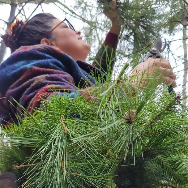 🎄 Support Local This Holiday Season with Tops&rsquo;l Farm 🌲

Every dollar spent on our handcrafted wreaths supports local livelihoods and celebrates the beauty of Maine's natural landscape. This year, we're thrilled to showcase wreaths crafted by 