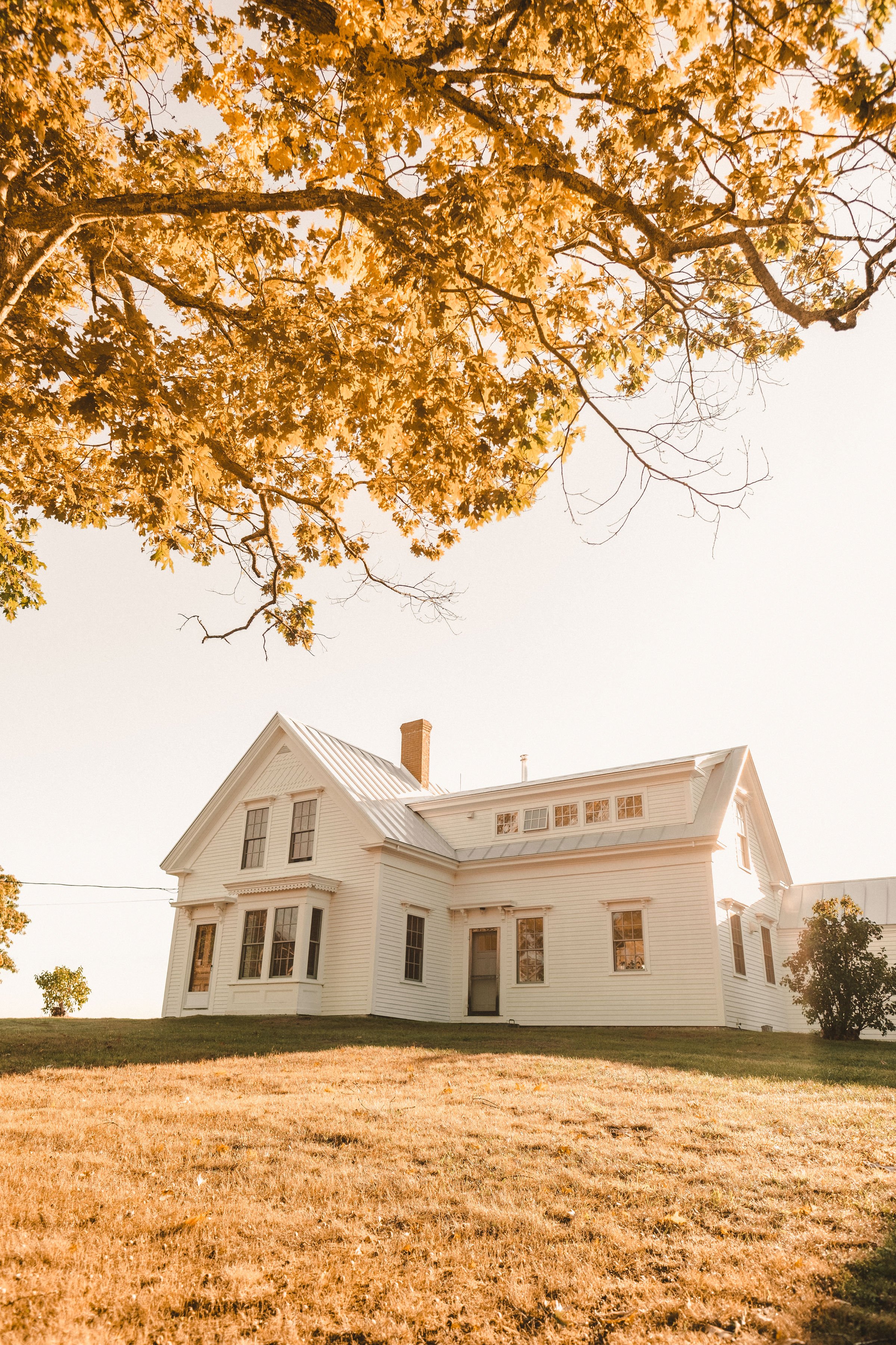 AliviaFieldsxFarmhouse-6.jpg