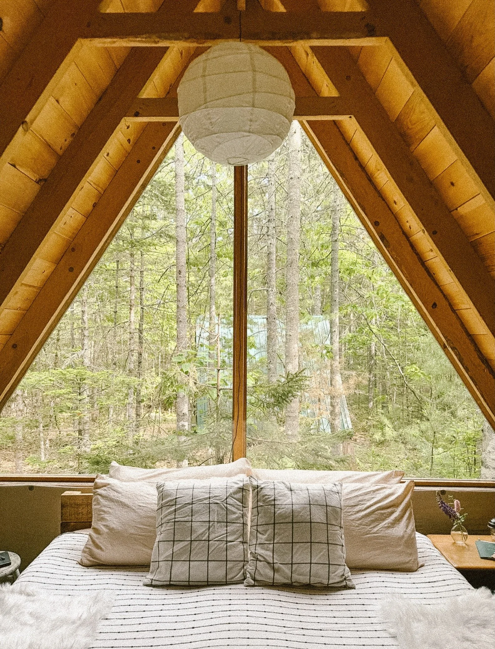 A whole forest for a headboard. Stay Monday to Wednesday &mdash; work from the woods, or don&rsquo;t.  Some views you can&rsquo;t download. 

#workfromfarm #midcoastmaine #mainefarm