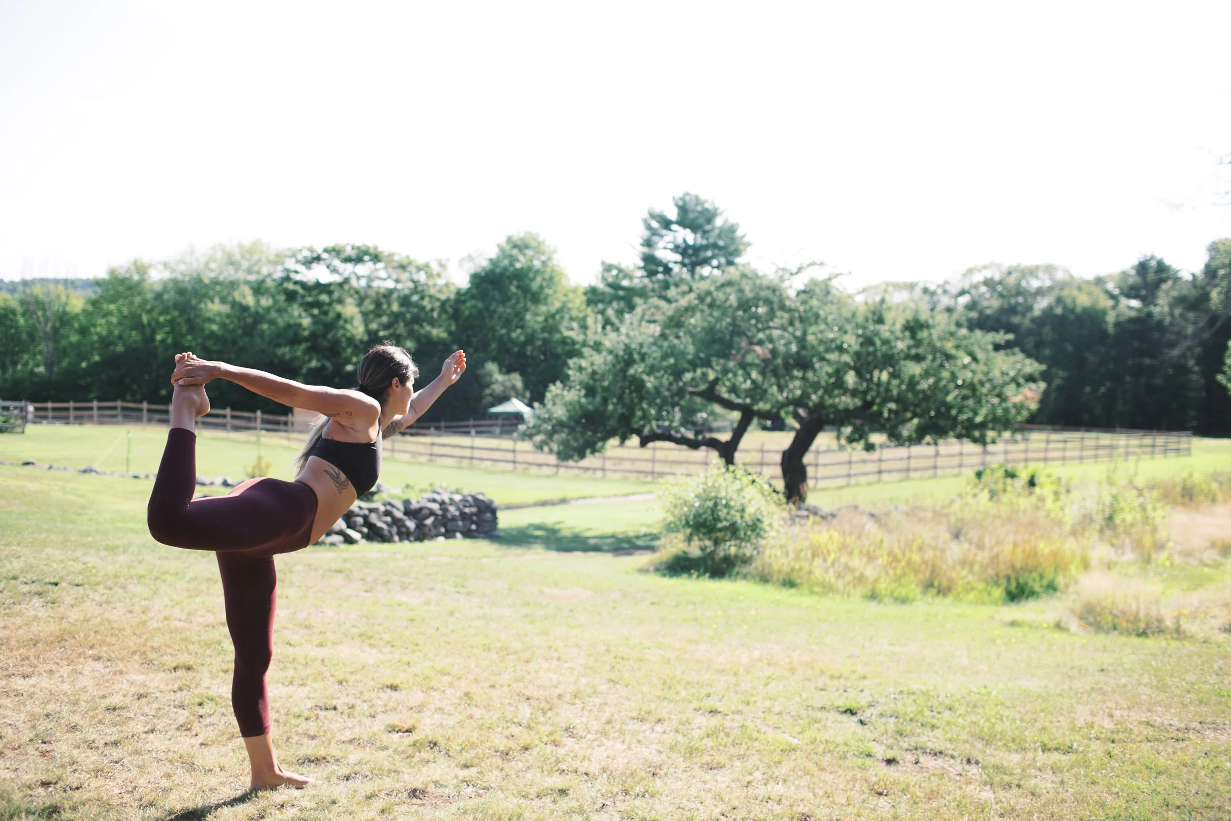 Topsl's Farm Maine Veronica Lola Photography 2019-51.jpg