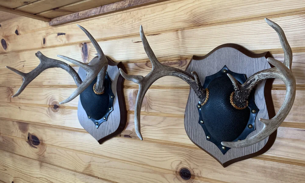 My first buck from my property on the left, third buck on the right.