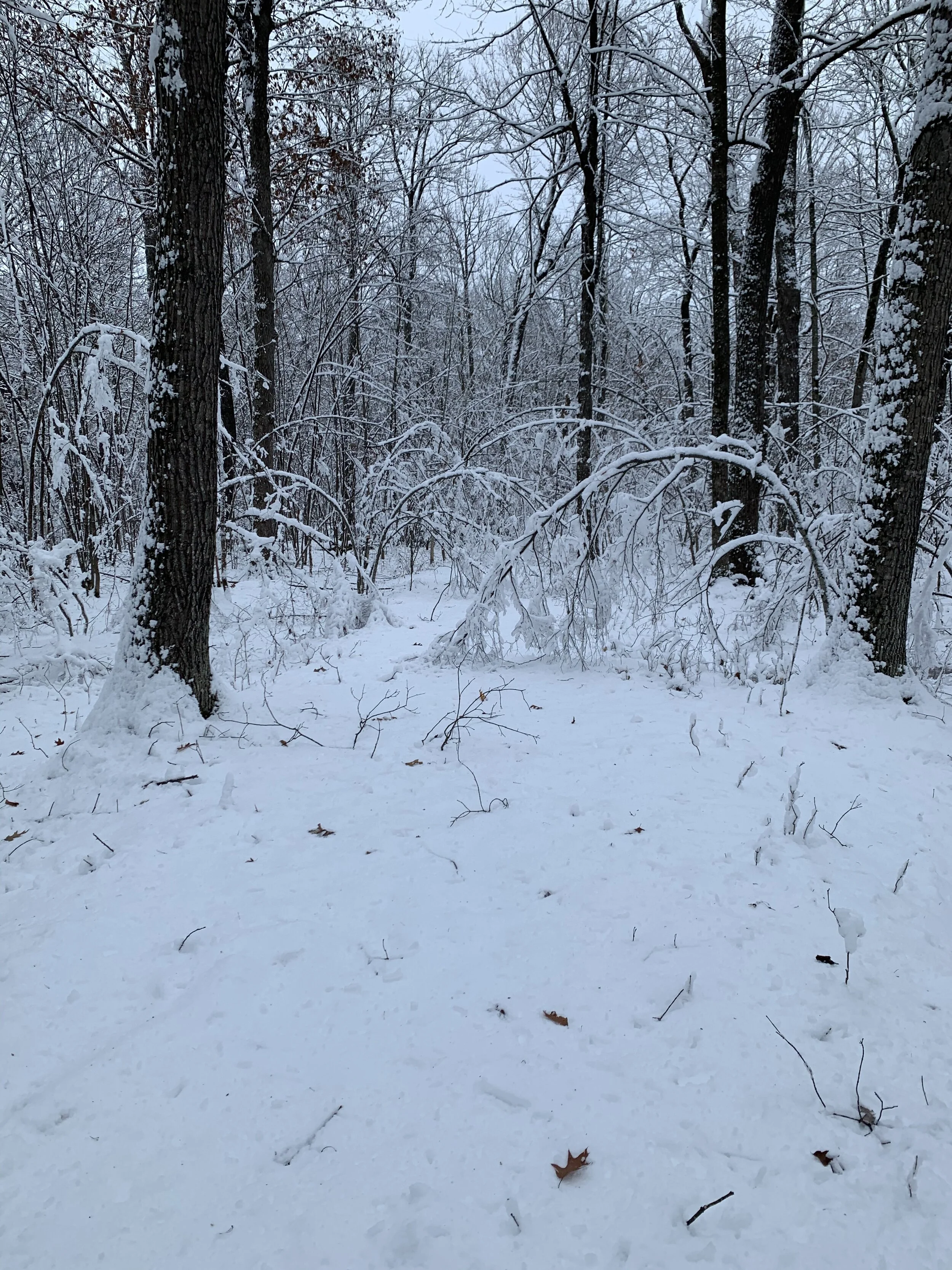 Under normal circumstances this should be a clear path for about 200 yards.