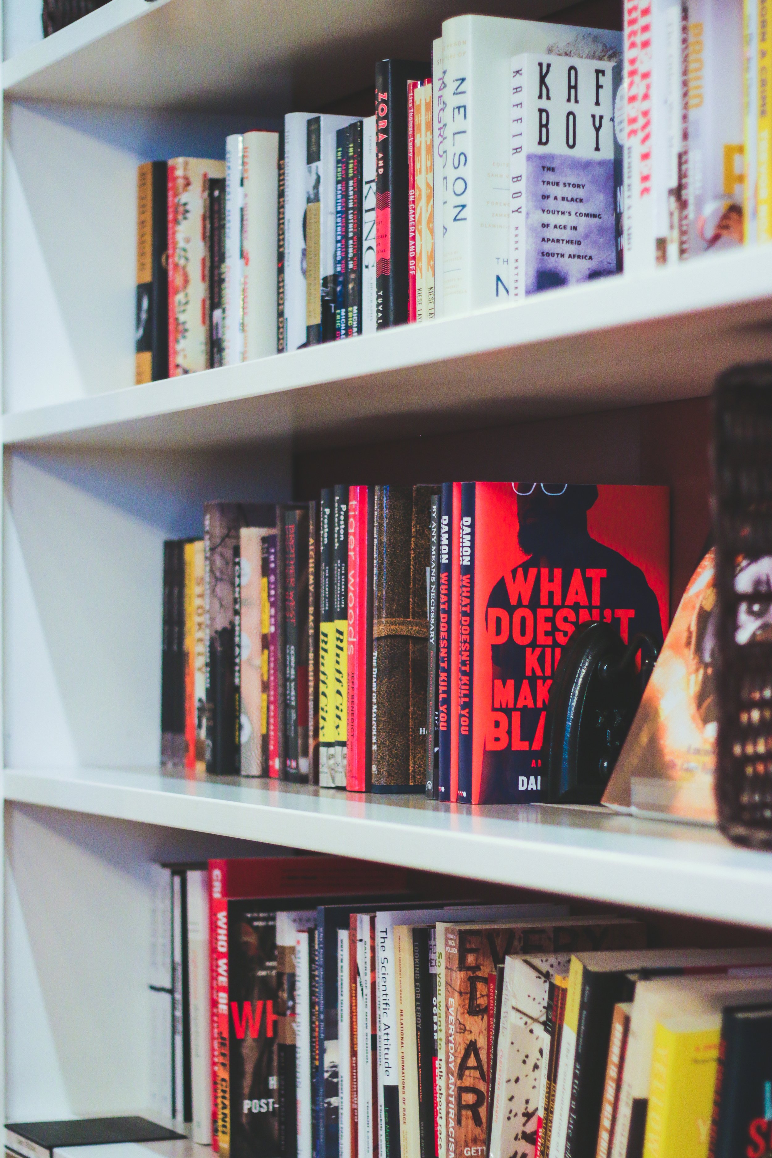 shelves.jpg
