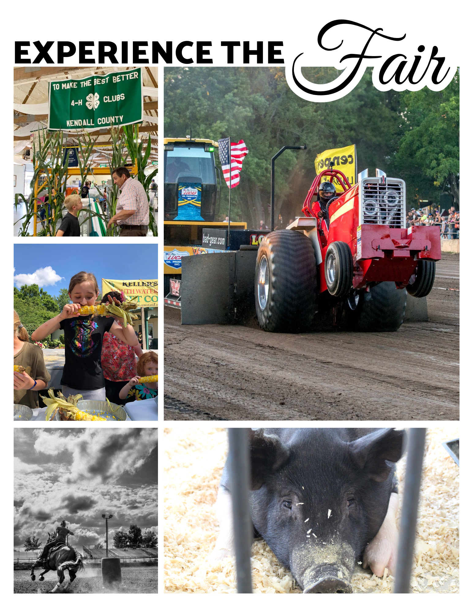 EXPERIENCE THE FAIR.png