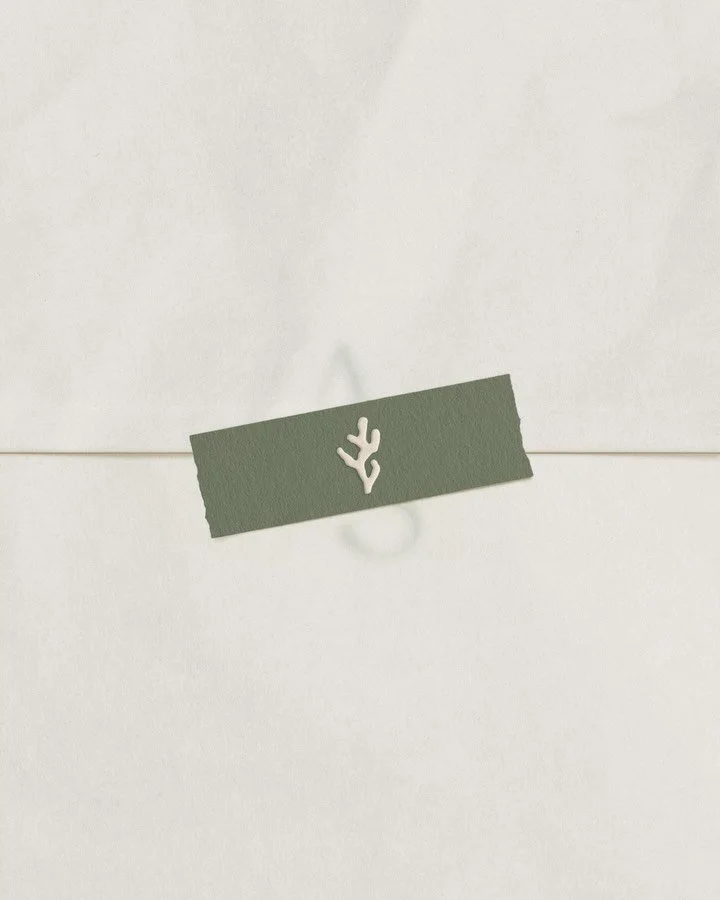 The cutest coral illustration and monogram that I had the pleasure of creating for a gorgeous couple getting married in the Bahamas. 

This was so fun to design and I love how each element can be used separately or combined across a variety of applic