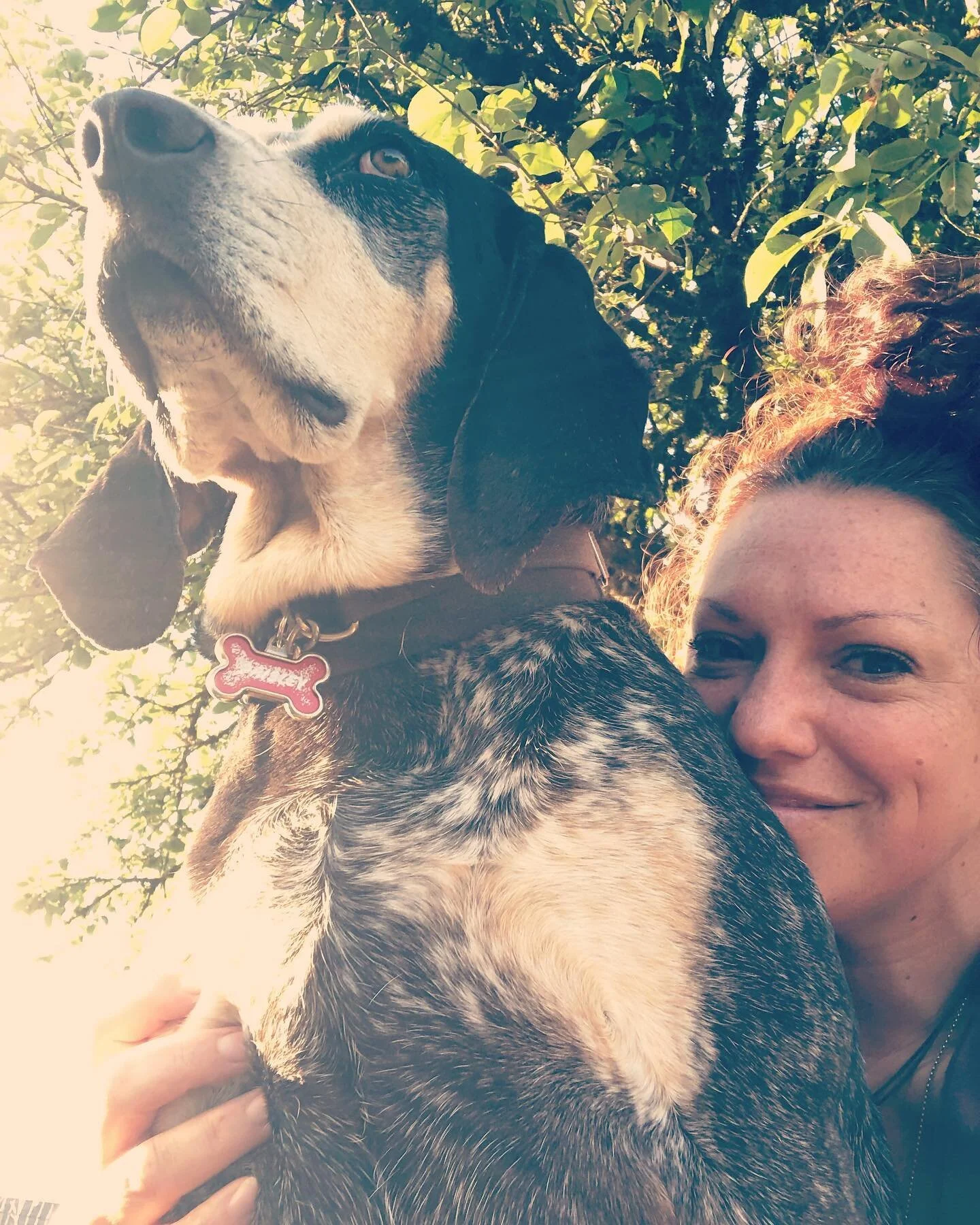 The Sanctuary&rsquo;s watch dog 🙏
Shawna&rsquo;s best gurl, Miss Paisley 💖✨