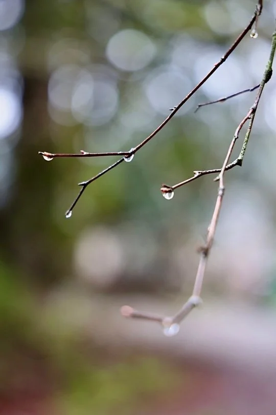 A Walk in the Rain