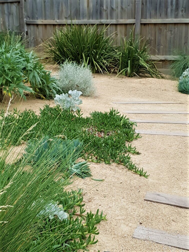 image00015.jpeg