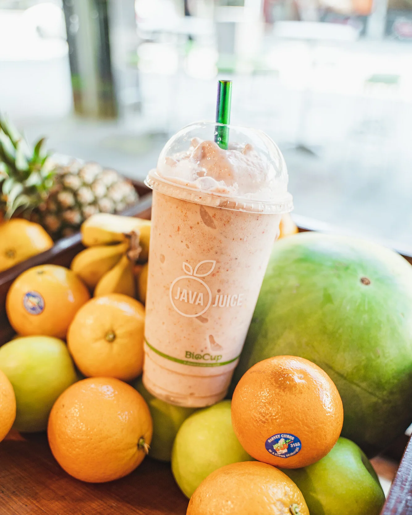 JAVAJUICE_SOCIALS3.jpg
