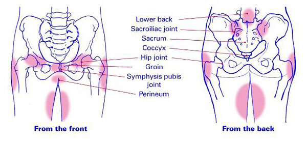 Pelvic Girdle Pain - Female Physio Co.