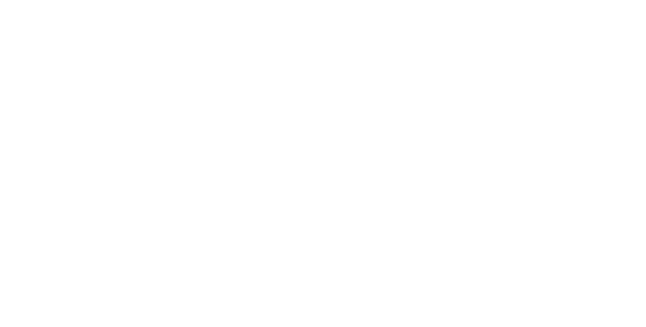 The Postpartum Physio