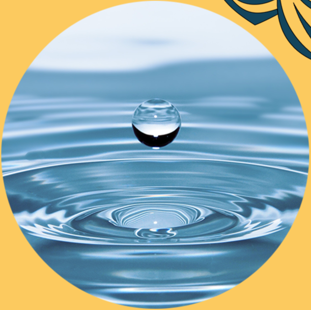 Close-up of a water droplet falling into a body of water, creating ripples.