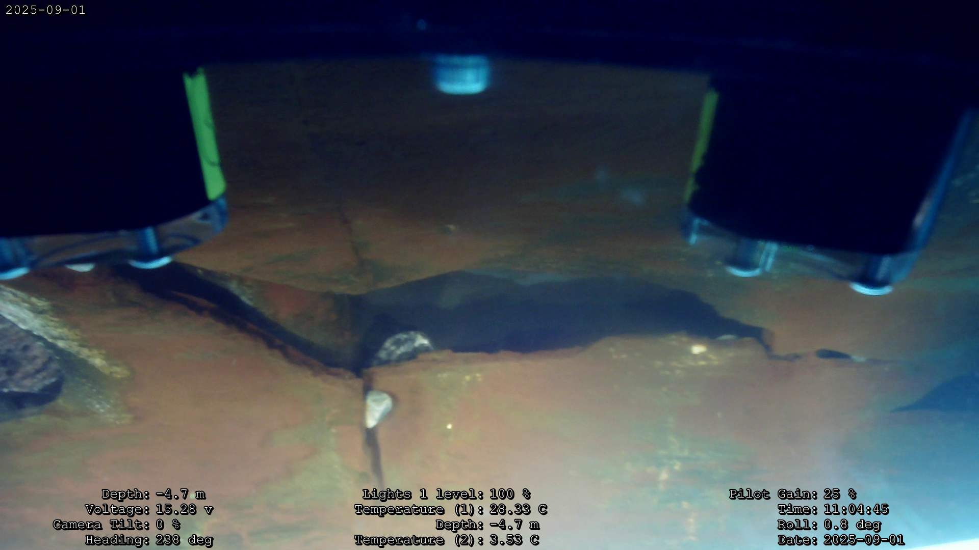 Underwater view of a black fish swimming near the ocean floor with rocks, with two camera equipment parts visible at the top corners.