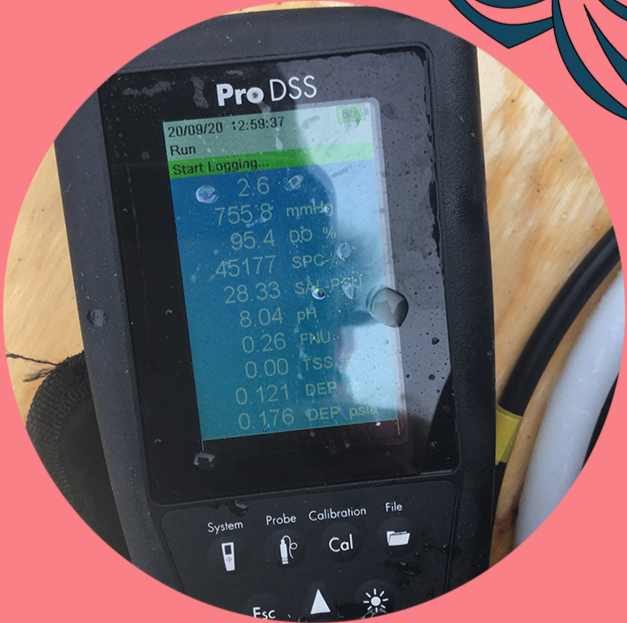 Close-up of a Display Screen on a Pro DSS device showing various measurements and data, with a wooden surface and a white and black cable in the background.