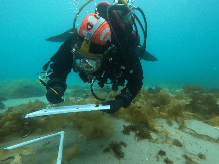 DYNAMIC OCEAN CONSULTING LTD.