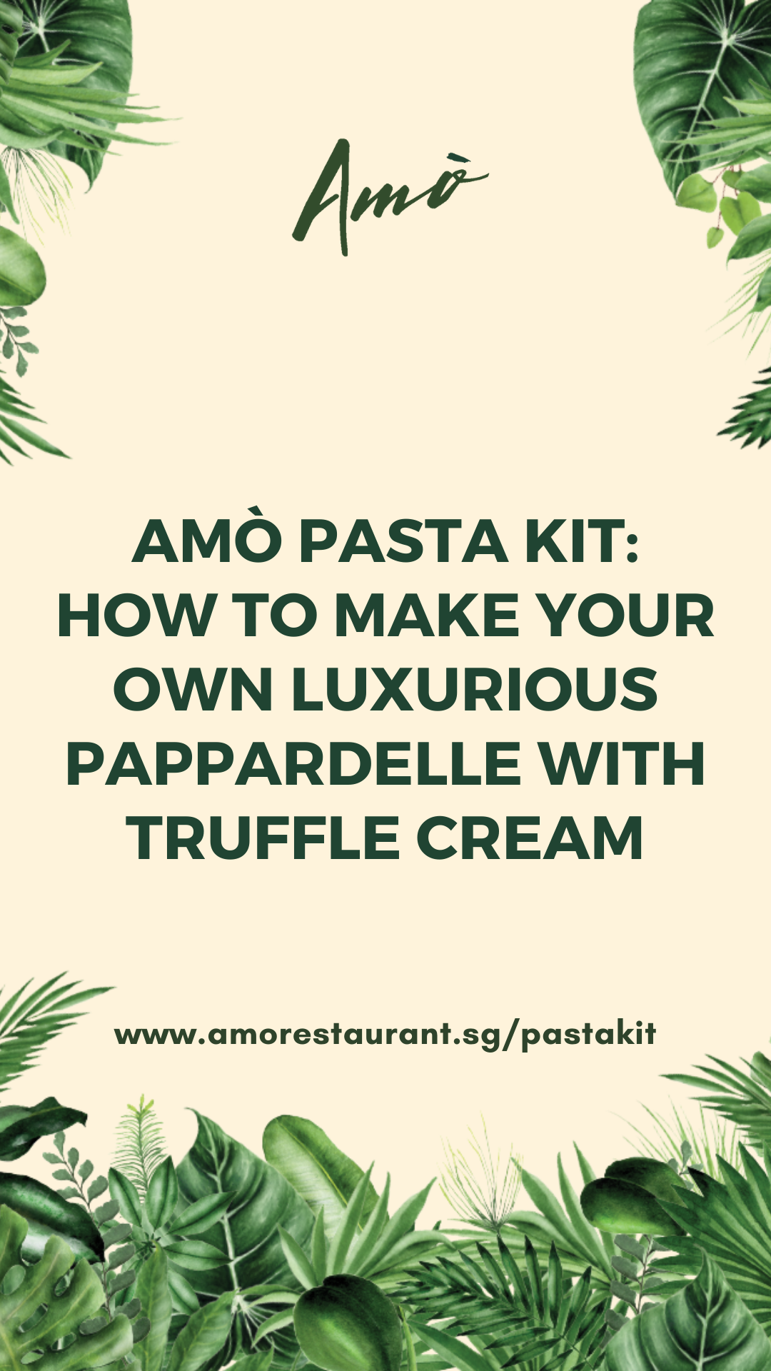 Amò Pasta Kit - Pappardelle with Truffle Cream