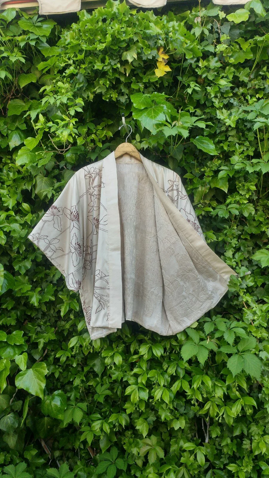 Ivory