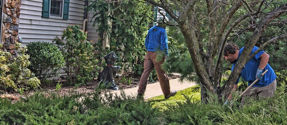 Landscape Maintenance Services near Scranton_9.jpg