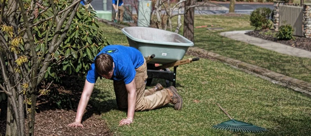 Landscape Maintenance Services near Scranton_10.jpg