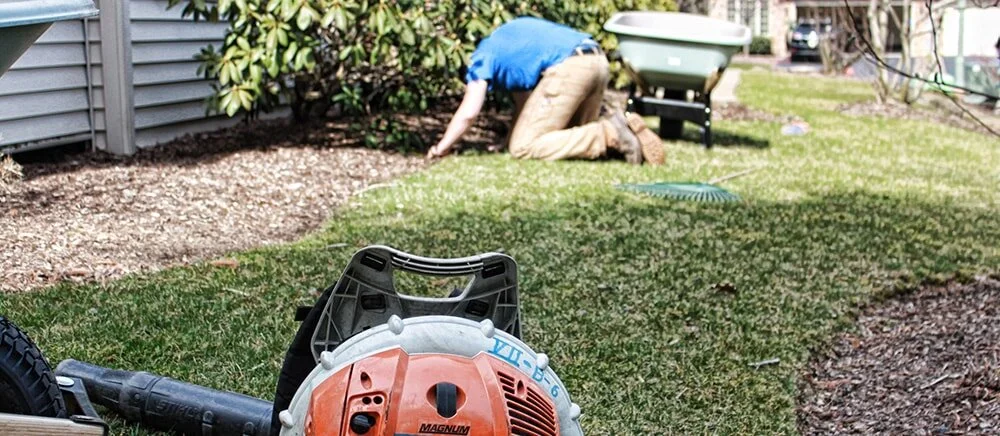 Landscape Maintenance Services near Scranton_11.jpg