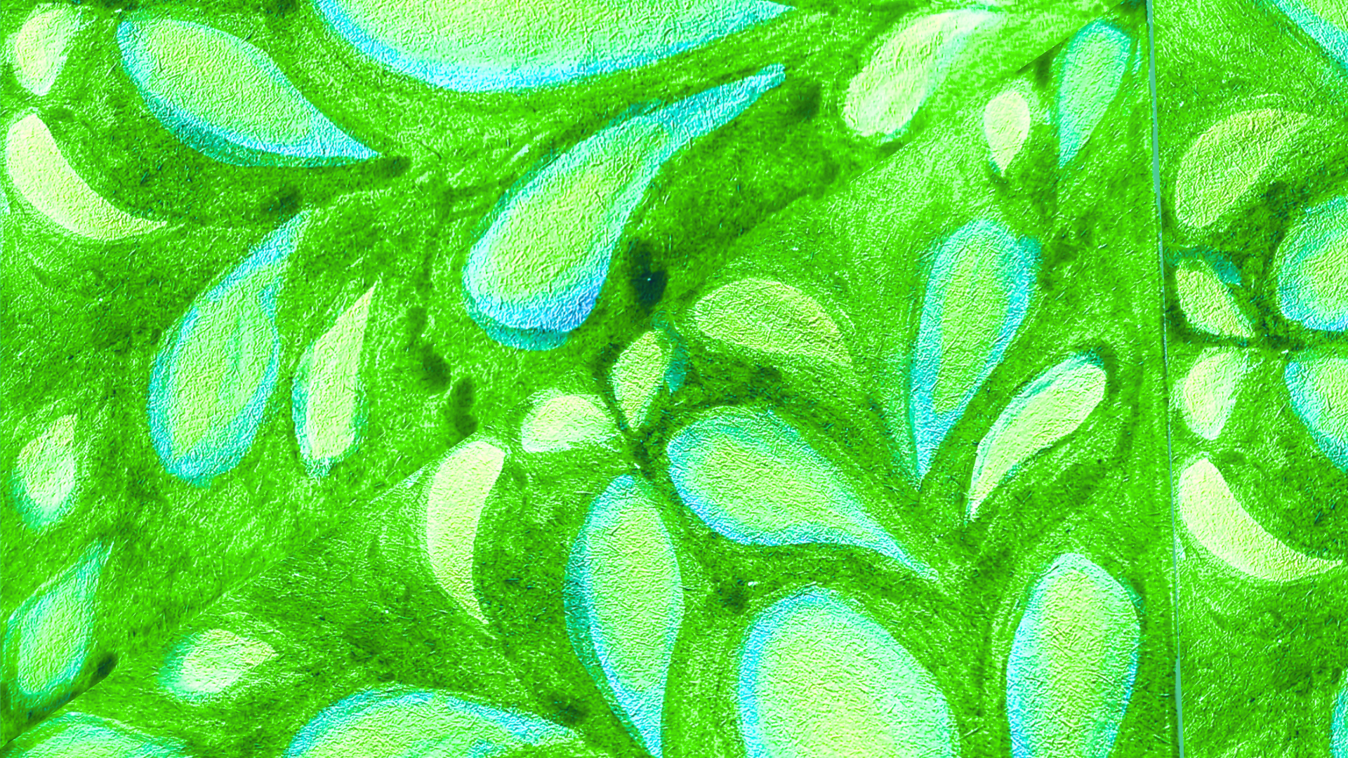 Untitled design (5).png