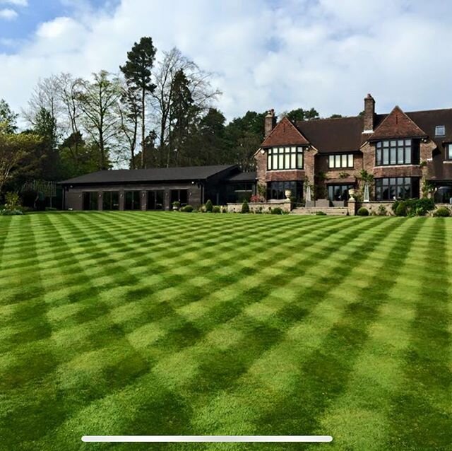 No filter needed on this #lawn 
This lawn was in an awful condition when we arrived in the #garden 12 months later and with careful #lawncare we manage to get stripes like this in it! 
#memyspadeandigardens #lawnmaintenance #garden #gardening #garden