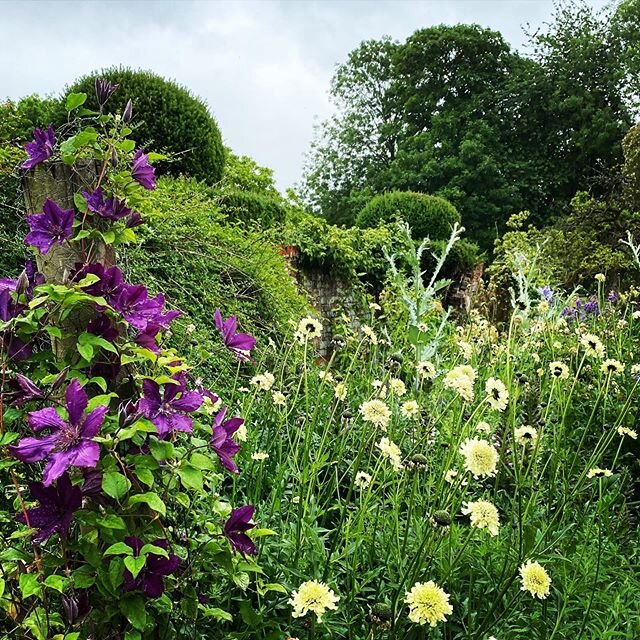 The big bed in our Hagbourne garden is full of colour right now, this is the crescendo of the bed, at its peak over the next month we will be in decline through until the new shoots grow next spring, it&rsquo;s a sad thought really, we have worked ti