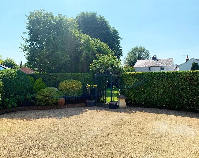 A solid day of hedge cutting and shaping. You could put a level on the Laurel 👌🏼
.
.

#memyspadeandigardens #garden #gardenmaintenance #landscapegardening #landscapersofinstagram #landscaping #gardendesign #landscapedesign #pic #picoftheday #photog
