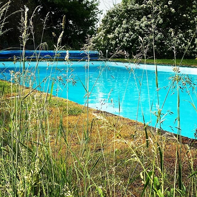 #jealous 😩😩😩 After the warmest week of the year so far I find myself looking at our clients outdoor pool with serious jealousy! 
A little background on the pool...... - hand dug in 1921
- 7 foot deep in the deep end - 4 foot deep in the shallow en