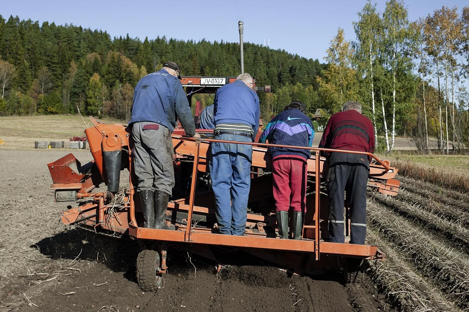 Farm workers standing on a potato harvester in a field, surrounded by trees.