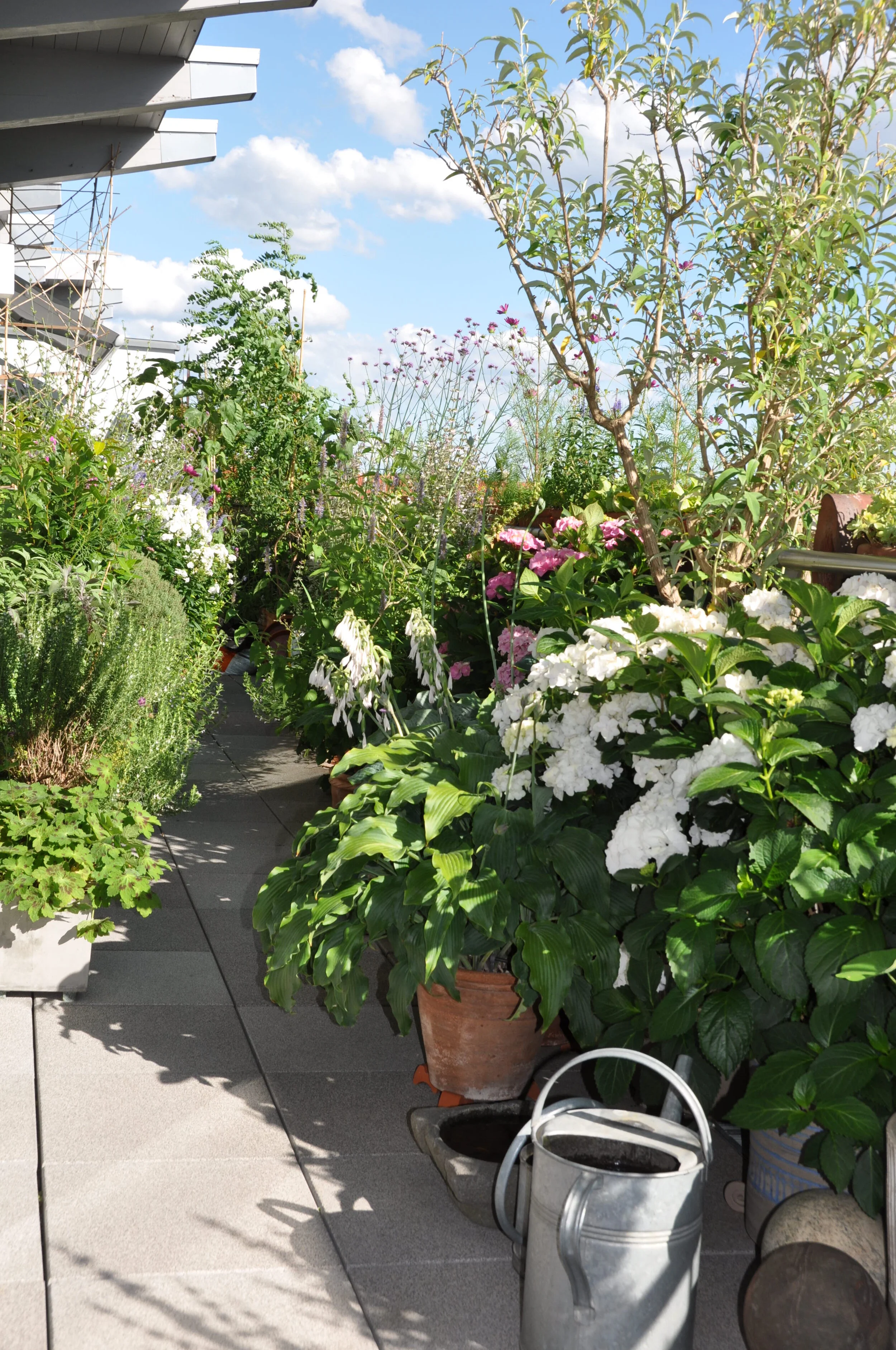 Terrassengarten Höhe 4