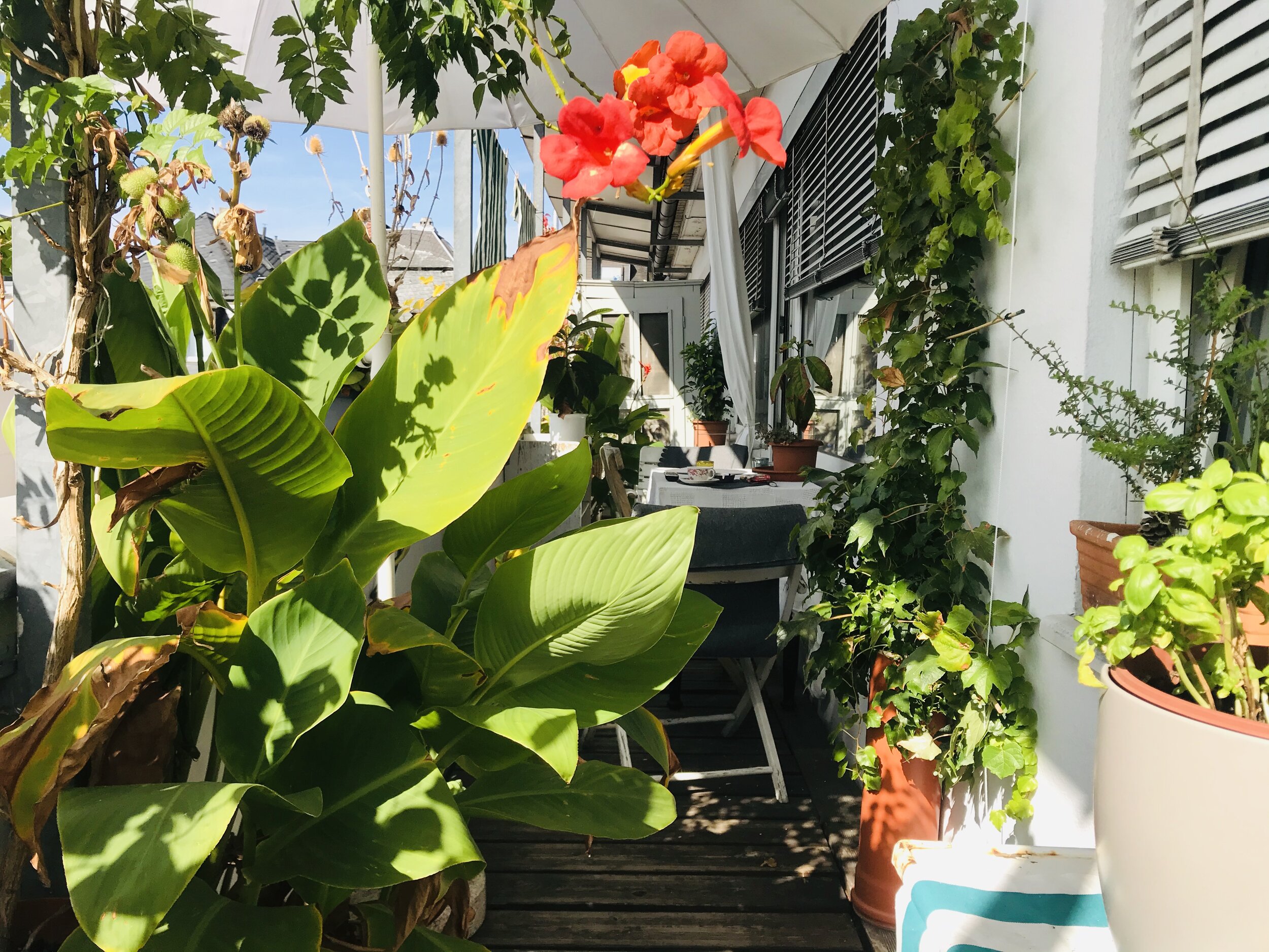Balkon Heinrichstraße