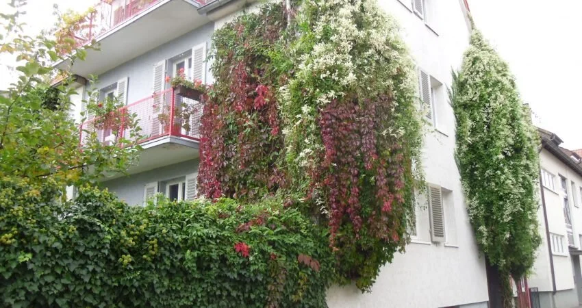 Mehrfamilienhaus Ruhrstraße