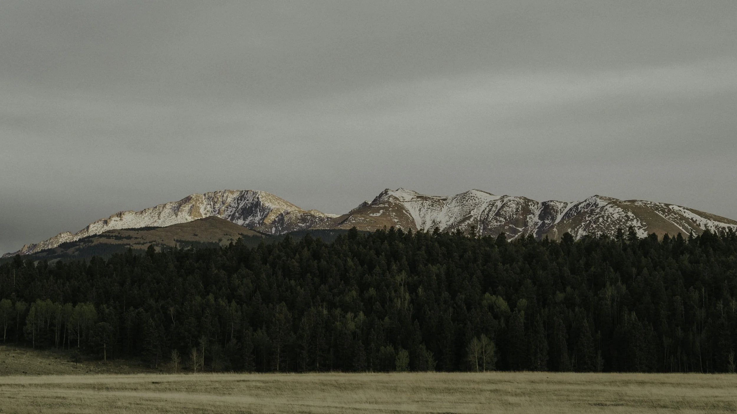unsplash-image-4HMSNHOXa6Y.jpg