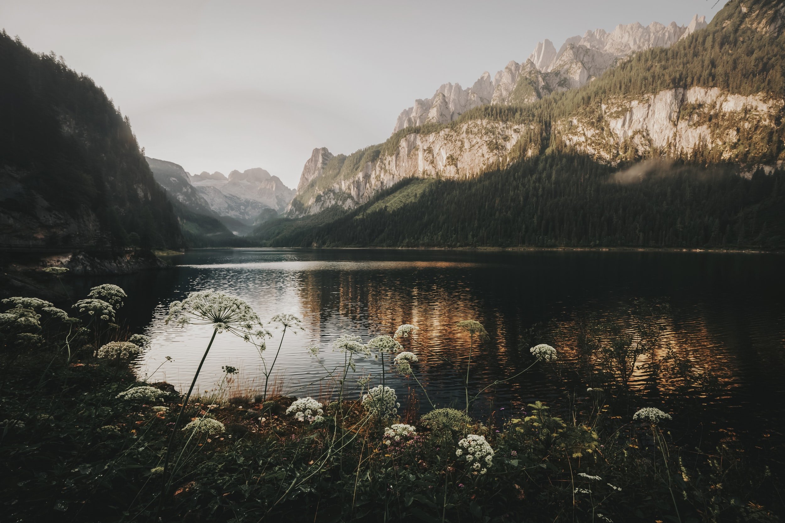 unsplash-image-OUuv5XixFZ8.jpg