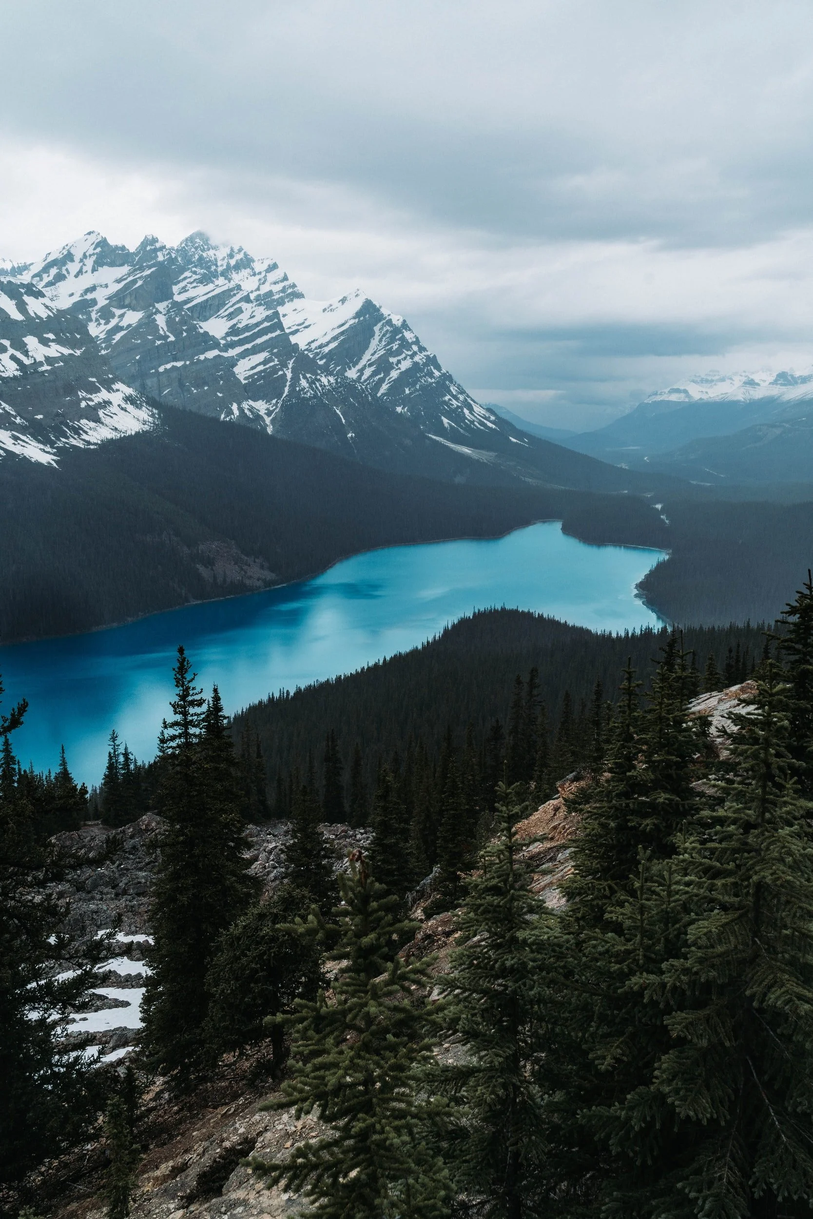 unsplash-image-jET6aJGkp9k.jpg