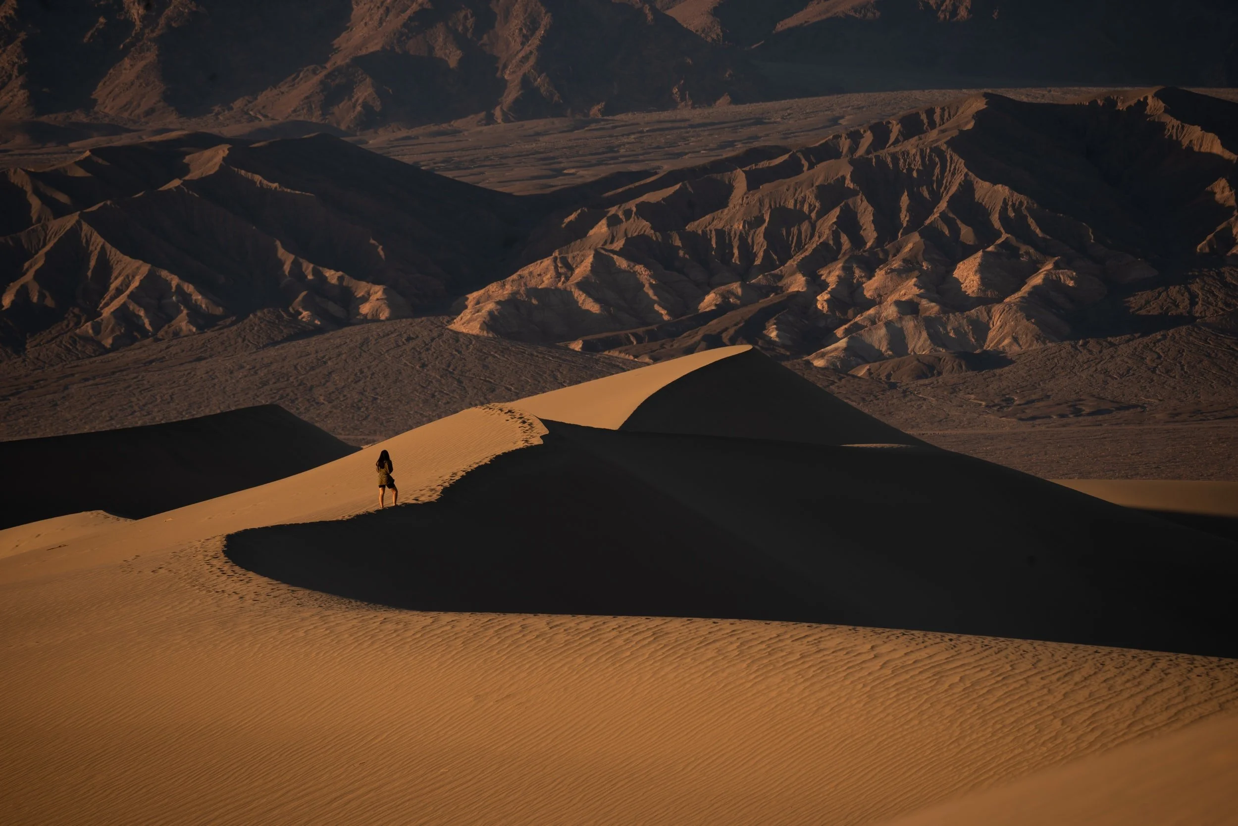 unsplash-image-XvpSmfSFAII.jpg